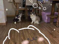 -月迷津渡(吾悦国际店)