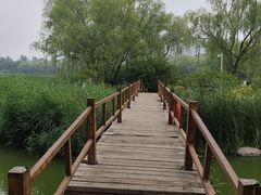 -燕郊植物园