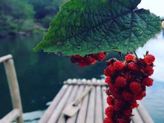 -婺源月亮湾