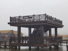 -宁波杭州湾国家湿地公园