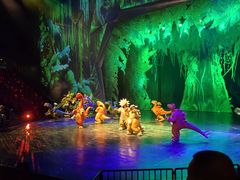 -重庆国际马戏城