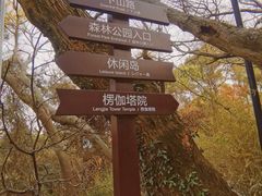 -苏州上方山国家森林公园
