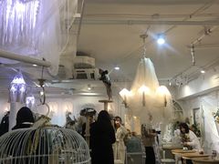 大堂-共舞时光猫咖·狗咖(新街口店)