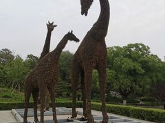 -莲花池公园
