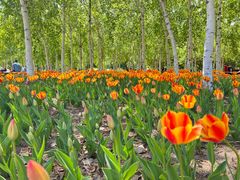 -长春公园(普阳街道)