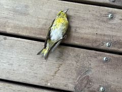 -苏州环秀晓筑养生度假村
