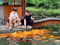 -成飞公园