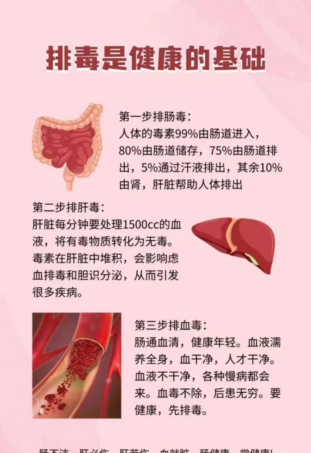 肝排出来的毒素图片图片