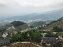 -紫鹊界梯田景区
