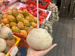 -海南槟榔谷黎苗文化旅游区