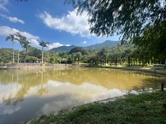 -深圳仙湖植物园