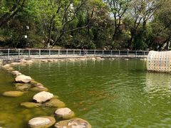 -莲湖公园