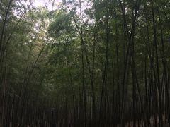 -笃笃笃糖粥(十全街店)