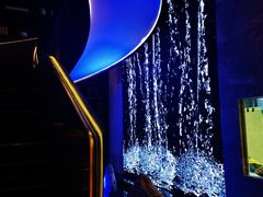 -海派悦庭·海胆烧麦·新融合菜(凯德广场店)