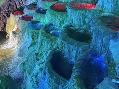 -颛顼龙洞旅游景区