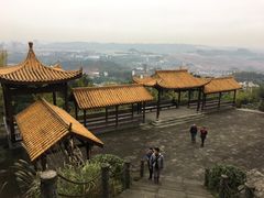 -铁山坪森林公园