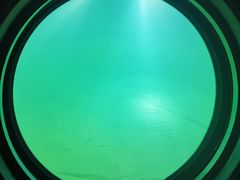 -白鹤梁水下博物馆