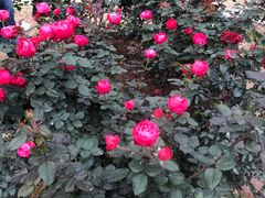 -人民公园(罗湖区)