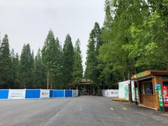 -东平国家森林公园