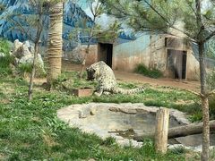 -青藏高原野生动物园