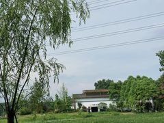 -桤木河湿地公园