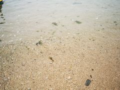 -石槽海滨浴场