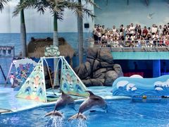 -海合安成都极地海洋公园