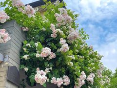 -颐和路民国时期公馆风貌区