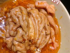 -晓宇重庆火锅(龙首店)