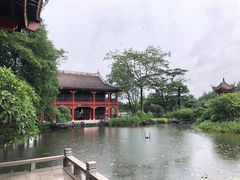 -顺峰山公园