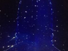 -大连圣亚海洋世界