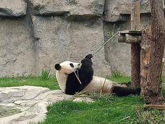 -上海野生动物园
