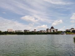 -莲花池公园