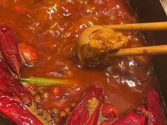 -朱光玉火锅馆(正弘城店)