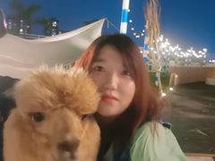 -Blue Concept Cafe&Farm·關於藍