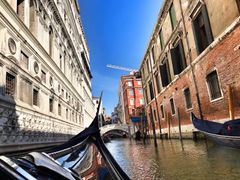 -圣母百花大教堂穹顶