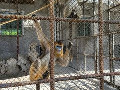 -哈尔滨北方森林动物园