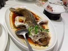-龙吟九品(青龙山庄店)