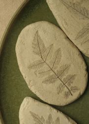 -初八手工DIY陶艺馆(初八陶社)