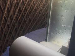 -哈素海