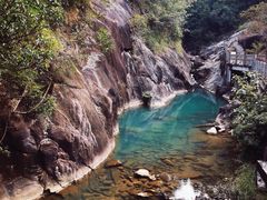 -广州白江湖森林公园