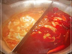 -湊湊火锅·茶憩(郑州绿地新都会店)