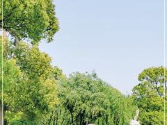 -上海鲜花港