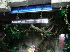 -泉城欧乐堡海洋极地世界