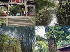 -凤栖山