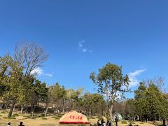 -牛岗山公园