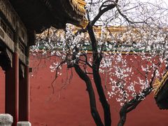 -故宫博物院(故宫)