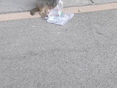 -黔灵山公园
