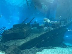 -福州罗源湾海洋世界旅游区