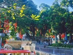 -TOKTOK精酿啤酒·咖啡(荔枝湾店)